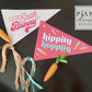 Greetings from the Easter Bunny Pennant Flag Set